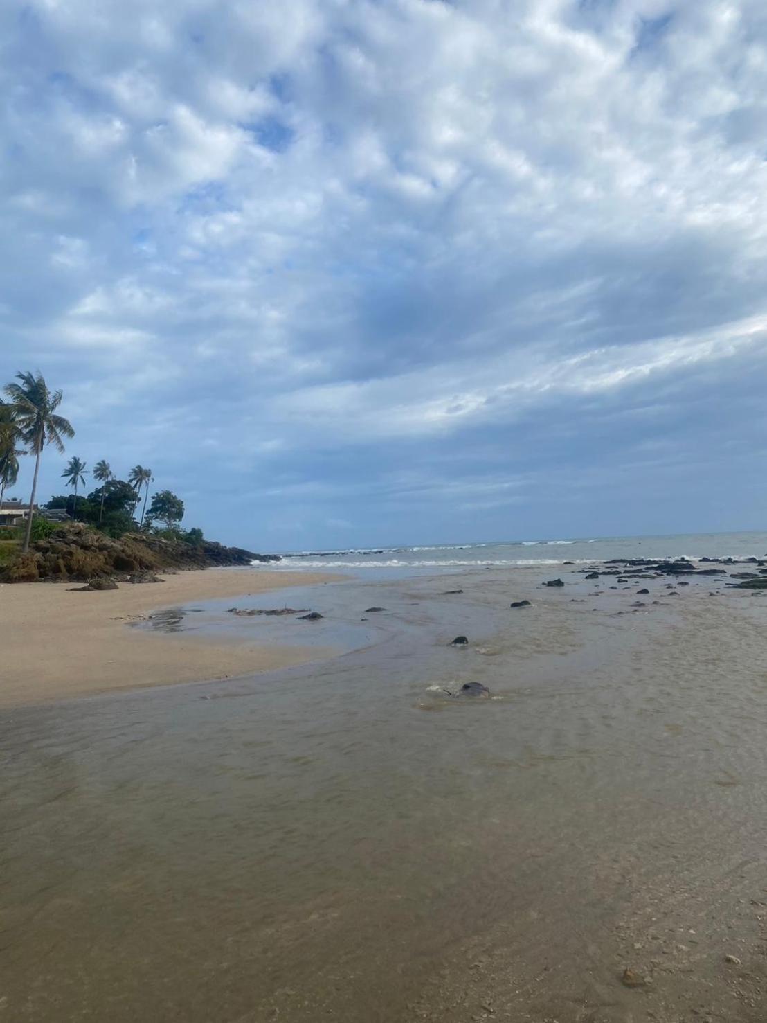 Arya Bungalow Koh Lanta Bagian luar foto